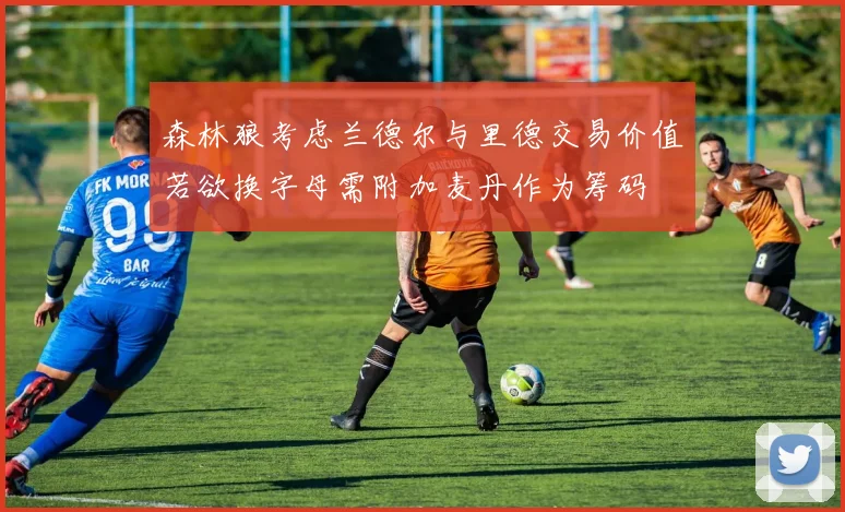 森林狼考虑兰德尔与里德交易价值若欲换字母需附加麦丹作为筹码